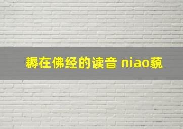 耨在佛经的读音 niao藐